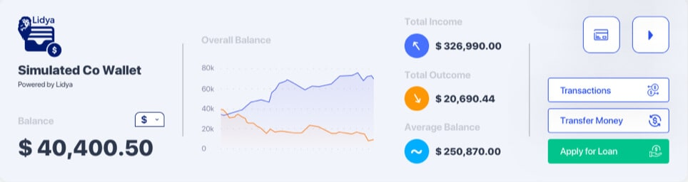 The complete overview of Lidya: key features, Valuation, Funding & Investors