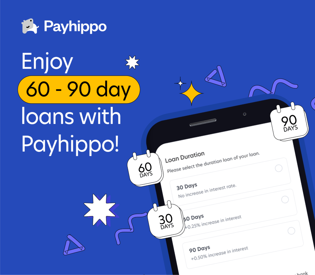 A comprehensive overview of Payhippo: key features, Valuation, Funding & Investors