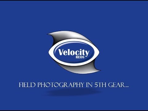 companies like velocity reos