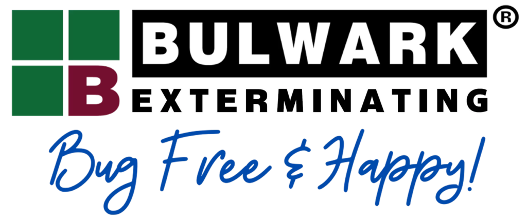 10 Best Termite Companies in the US | 2025 Updated List 9 10 Best Termite Companies in the US | 2025 Updated List