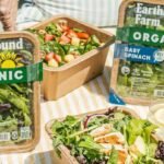 Organic food companies